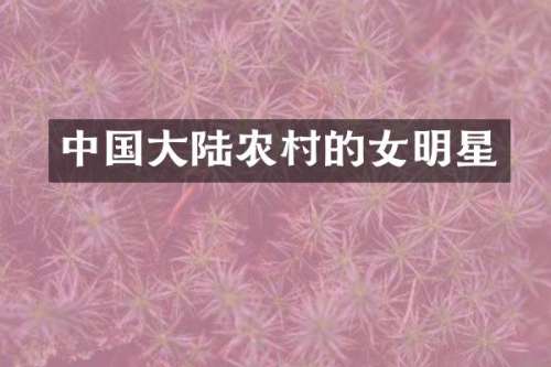 中国大陆农村的女明星