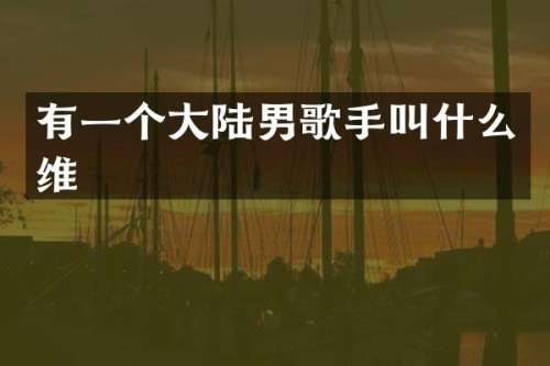 有一个大陆男歌手叫什么维