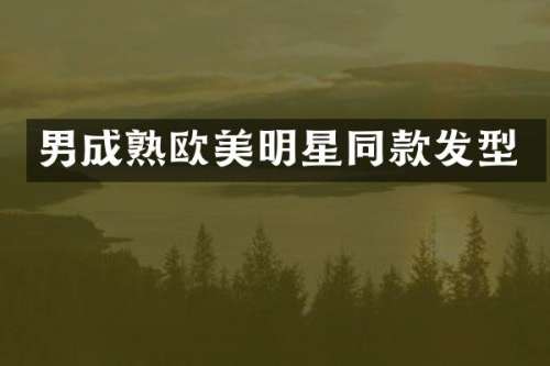 男成熟欧美明星同款发型