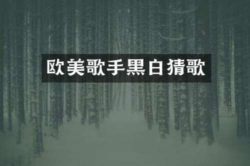 欧美歌手黑白猜歌