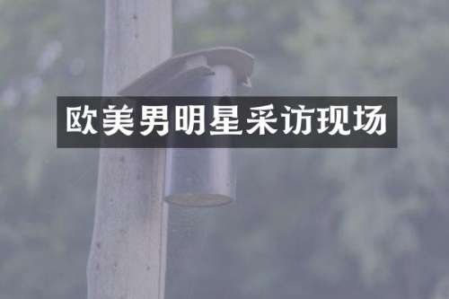 欧美男明星采访现场