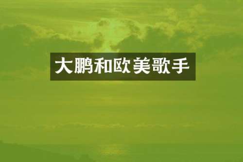 大鹏和欧美歌手
