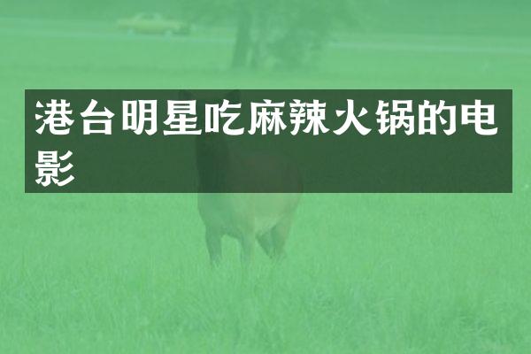 港台明星吃麻辣火锅的电影