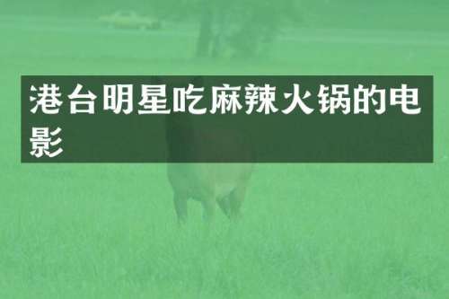 港台明星吃麻辣火锅的电影