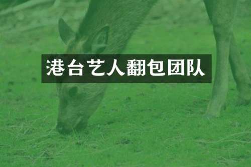 港台艺人翻包团队