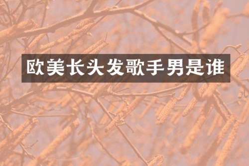 欧美长头发歌手男是谁