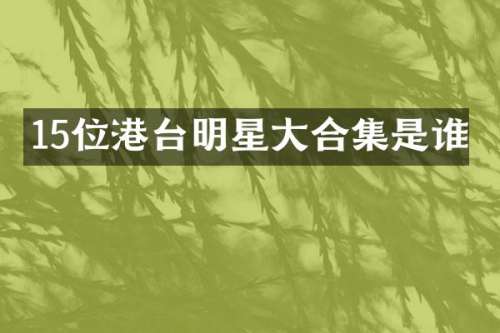 15位港台明星大是谁