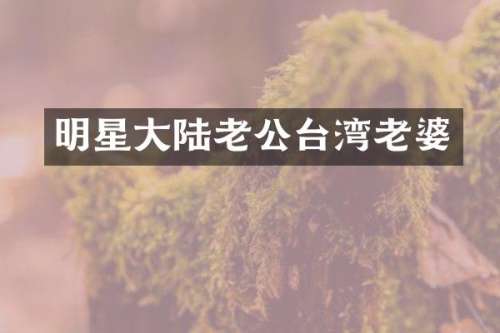 明星大陆老公台湾老婆