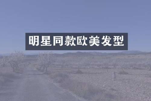 明星同款欧美发型