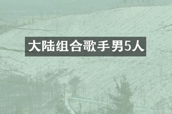 大陆组合歌手男5人