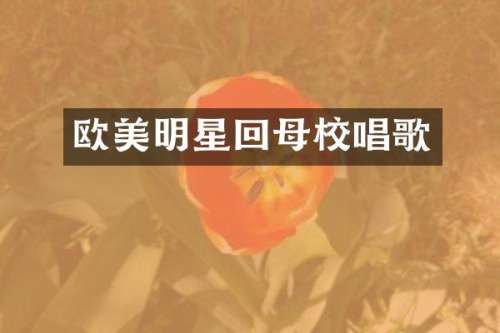 欧美明星回母校唱歌