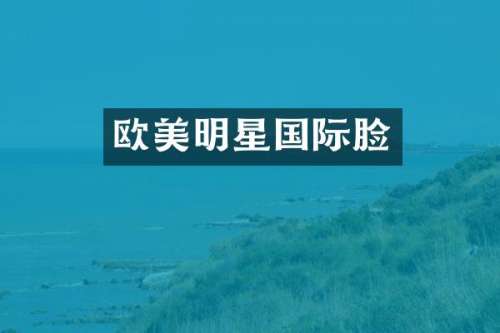 欧美明星国际脸