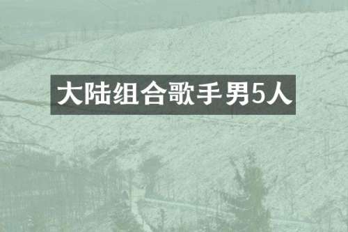 大陆组合歌手男5人