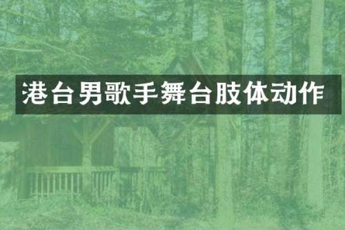 港台男歌手舞台肢体动作