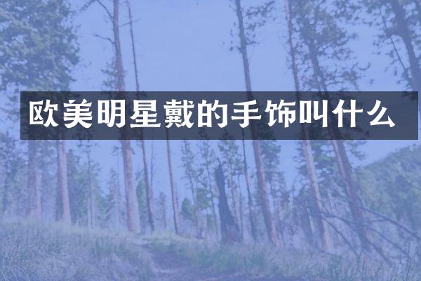 欧美明星戴的手饰叫什么