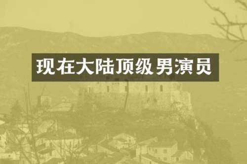 现在大陆顶级男演员