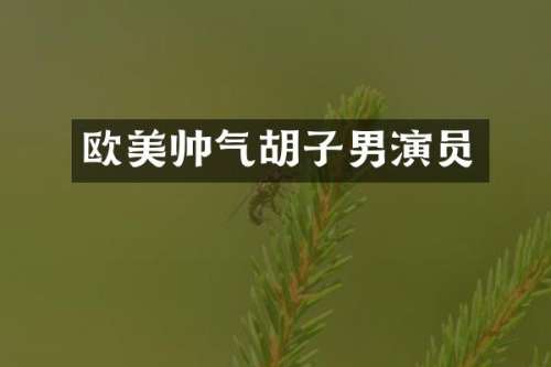 欧美帅气胡子男演员