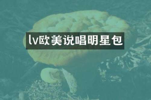 lv欧美说唱明星包