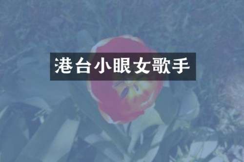 港台小眼女歌手