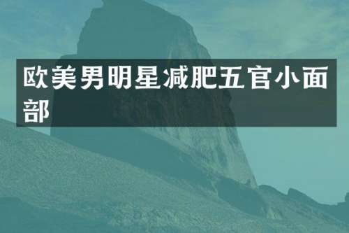欧美男明星减肥五官小面部