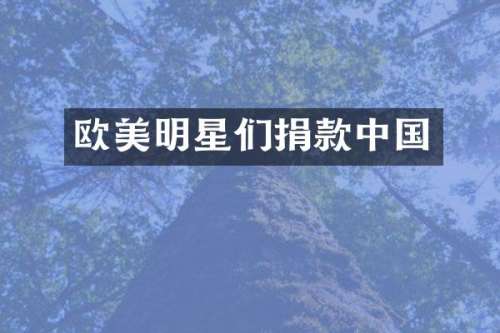欧美明星们捐款中国