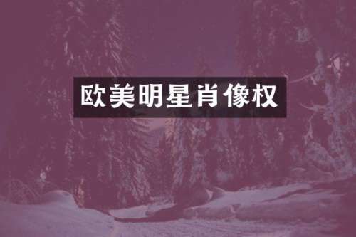 欧美明星肖像权