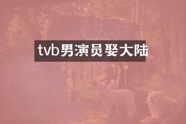 tvb男演员娶大陆