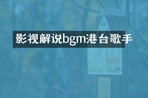 影视解说bgm港台歌手