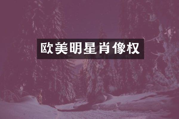 欧美明星肖像权