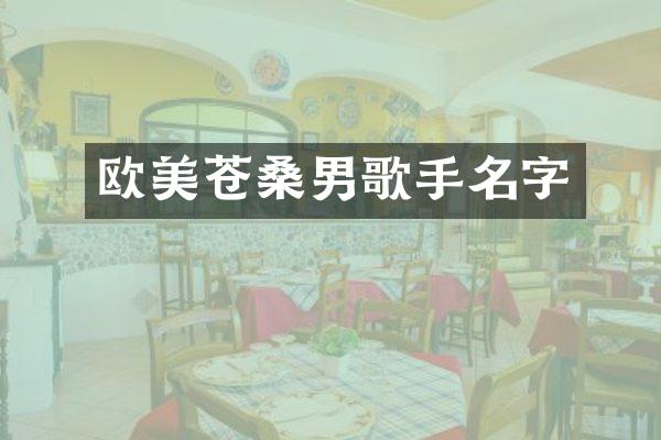 欧美苍桑男歌手名字