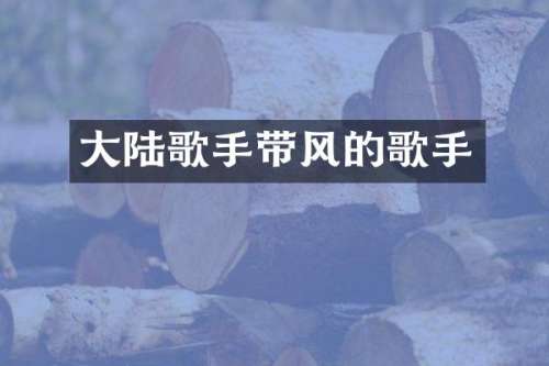 大陆歌手带风的歌手