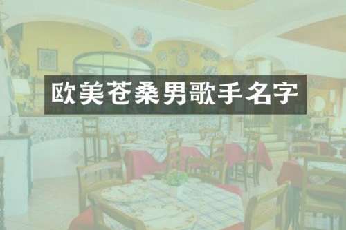 欧美苍桑男歌手名字