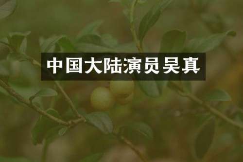 中国大陆演员吴真
