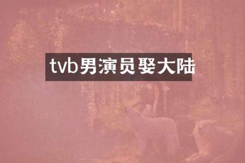tvb男演员娶大陆