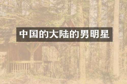 中国的大陆的男明星