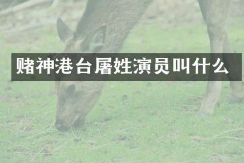 赌神港台屠姓演员叫什么