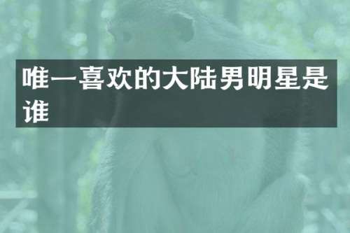 唯一喜欢的大陆男明星是谁