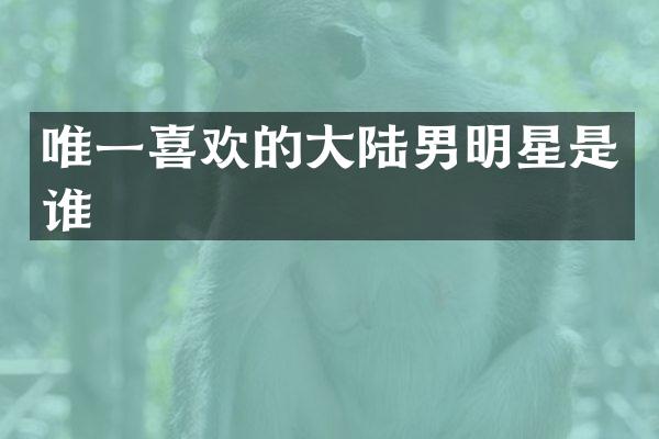 唯一喜欢的大陆男明星是谁
