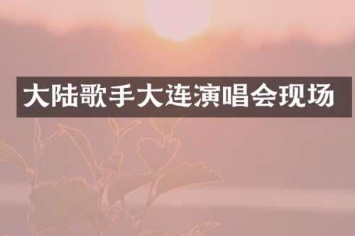大陆歌手大连演唱会现场
