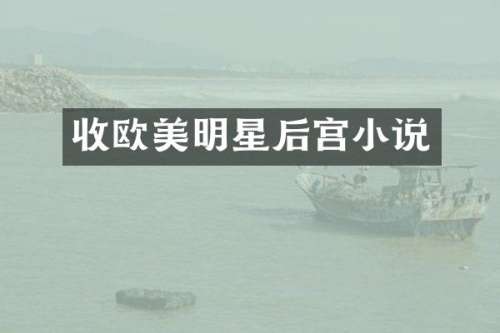 收欧美明星后宫小说