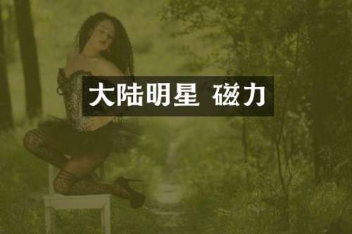 大陆明星 磁力