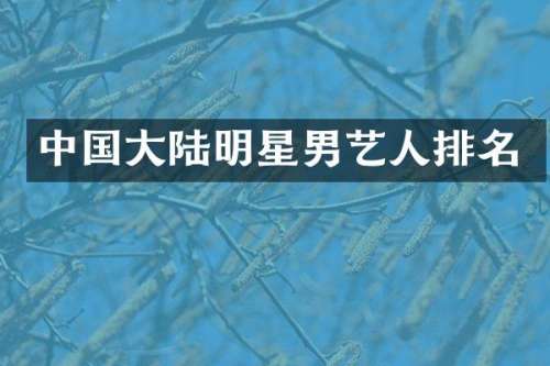 中国大陆明星男艺人排名