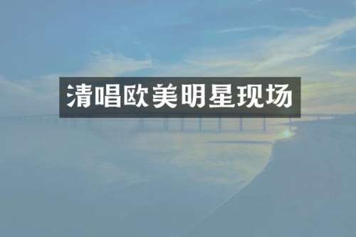 清唱欧美明星现场