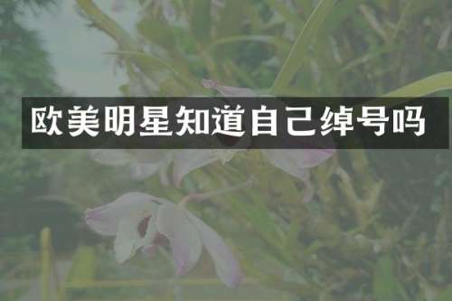 欧美明星知道自己绰号吗