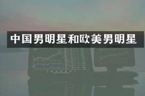 中国男明星和欧美男明星