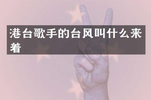 港台歌手的台风叫什么来着
