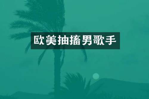 欧美抽搐男歌手
