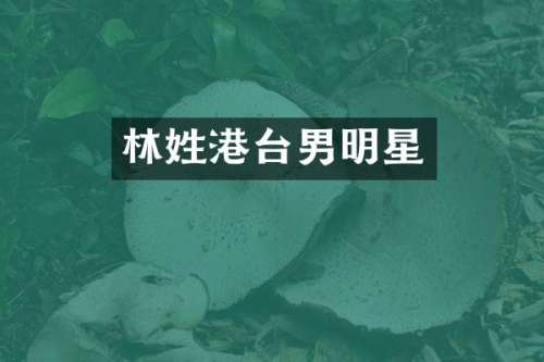 林姓港台男明星