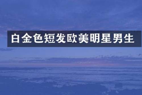 白金色短发欧美明星男生