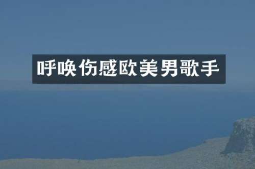 呼唤伤感欧美男歌手